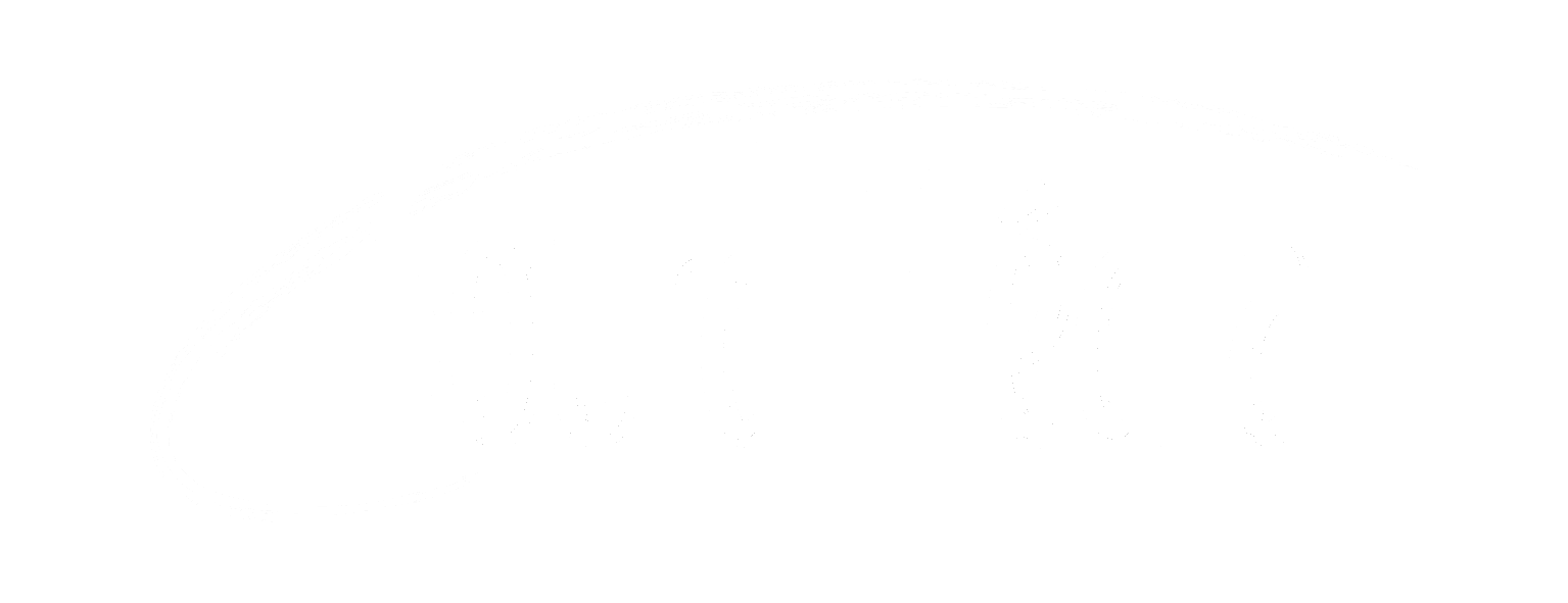 Logo de Sourdmédia blanc en grand format
